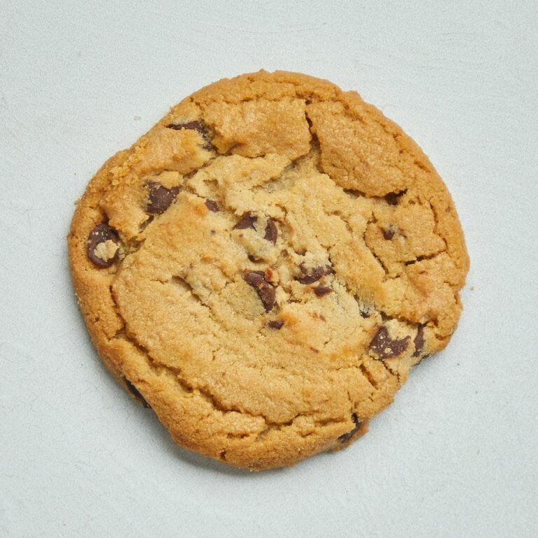 chocolate chip cookie