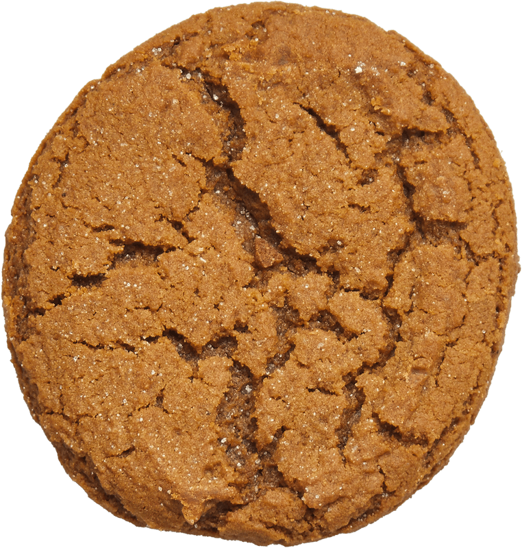 molasses cookie cutout